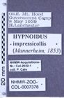 Etiketten zu Hypnoidus impressicollis (Mannerheim, 1853) (NHMW-ZOO-COL-0007378)